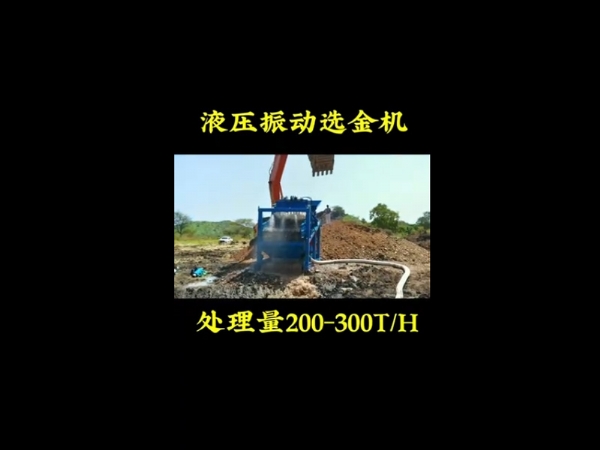 振動(dòng)式選金機(jī)